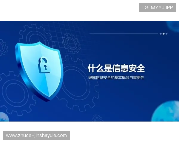 多重安全措施保护金沙登录账户信息，防止非法入侵风险