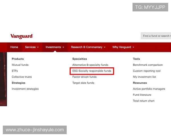 了解皇家旗舰网站的安全保障措施，保障玩家账号与财产安全