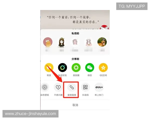 皇家手机网址最新入口推荐，全面解析皇家手机官网的安全性与稳定性