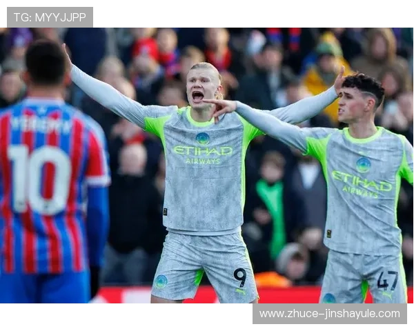 水晶宫足球队队员官网上发布的球员访谈与职业生涯经验分享